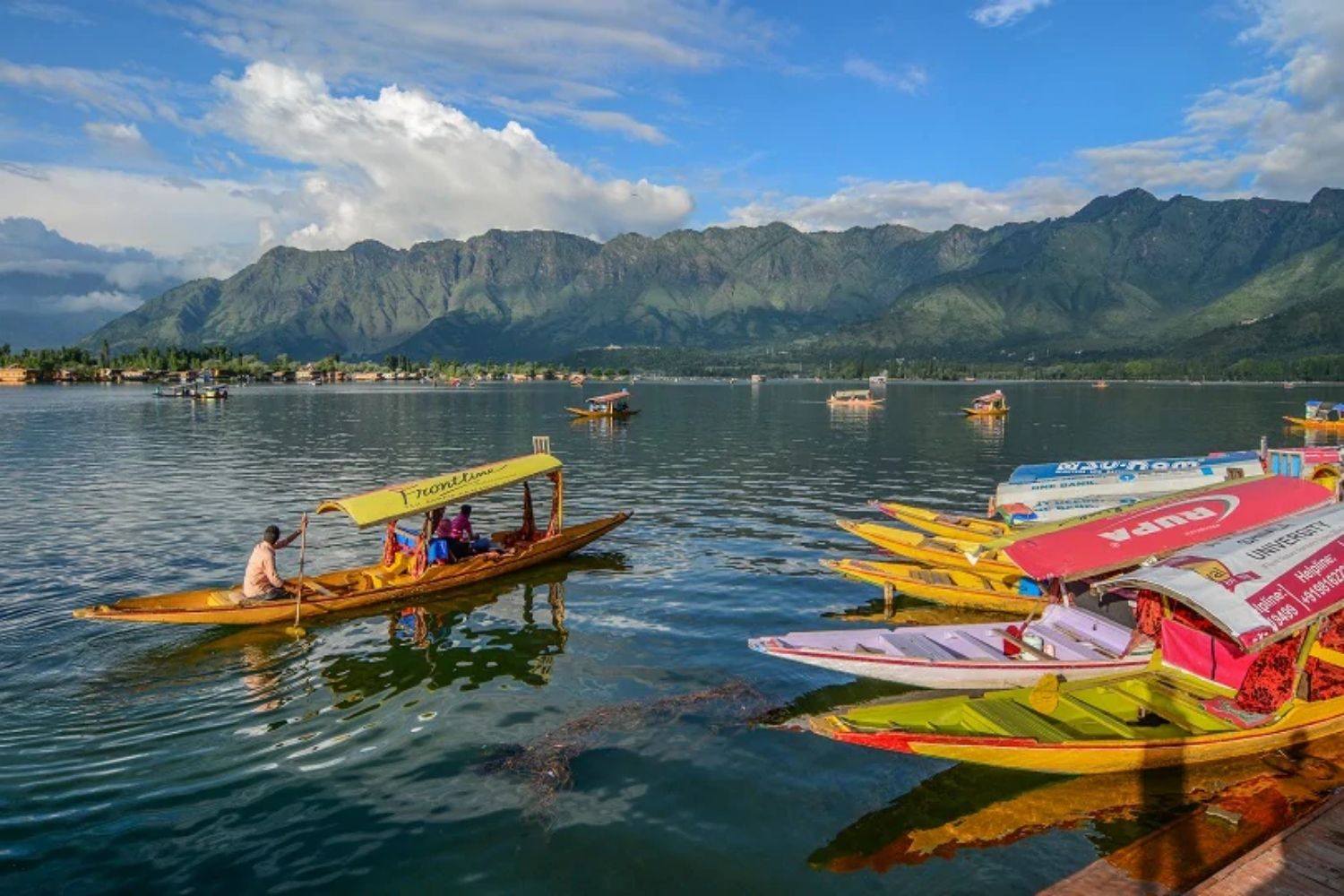 shikara ride in kashmir offers